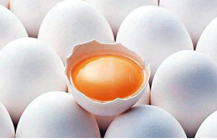 تشخیص آلودگی تخم‌مرغ توسط محقق واحد علوم و تحقیقات