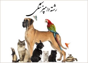 رشته دامپزشکی
