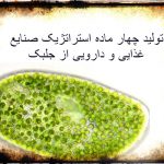 تولید چهار ماده