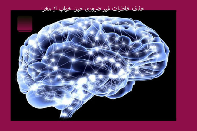 mind حذف خاطرات