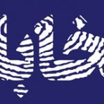 برنامه‌های انتخاباتی