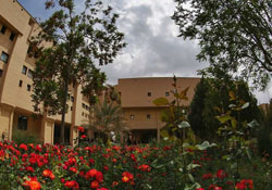 کتابخانه دانشگاه باهنر کرمان