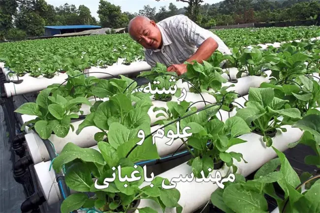 رشته علوم و مهندسی باغبانی