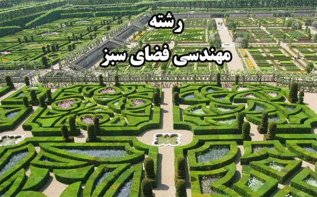 رشته مهندسی فضای سبز