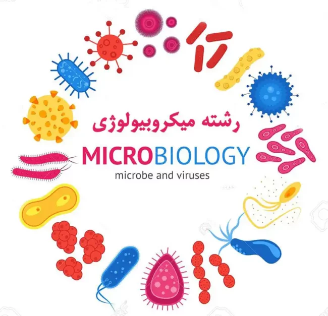 microbiology میکروبیولوژی