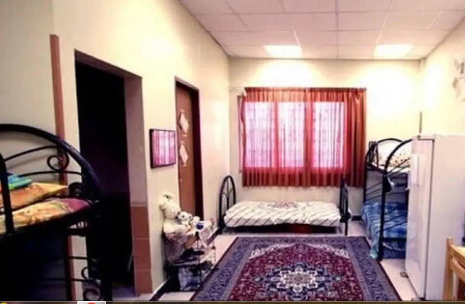 متأهلین دانشگاه تهران