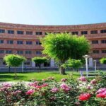 با ۵ رشته جدید