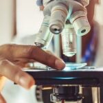 جذب محققان پسادکتری