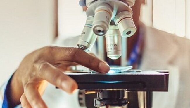 جذب محققان پسادکتری جذب محققان پسادکتری