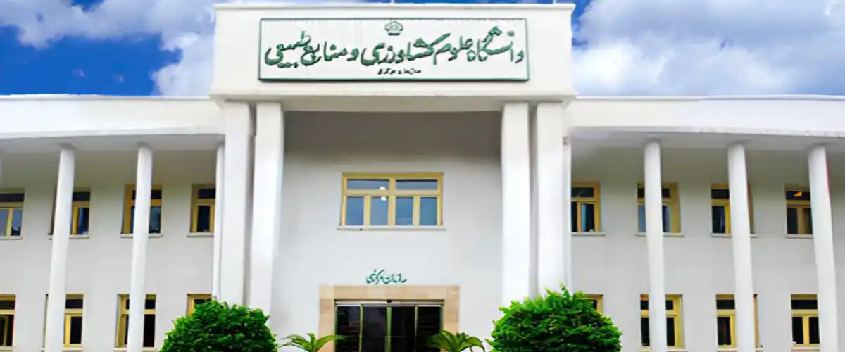 دانشگاه علوم کشاورزی و منابع طبیعی گرگان