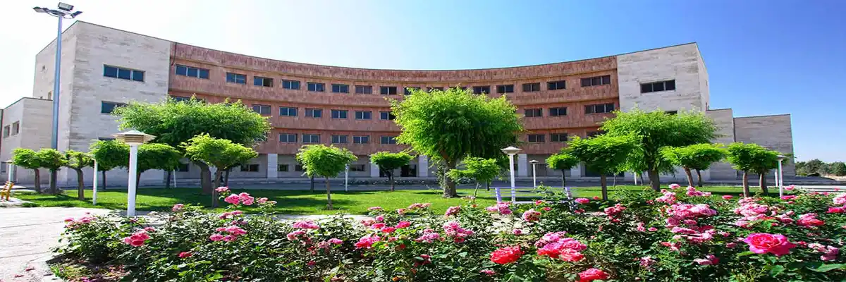 دانشگاه خوارزمی