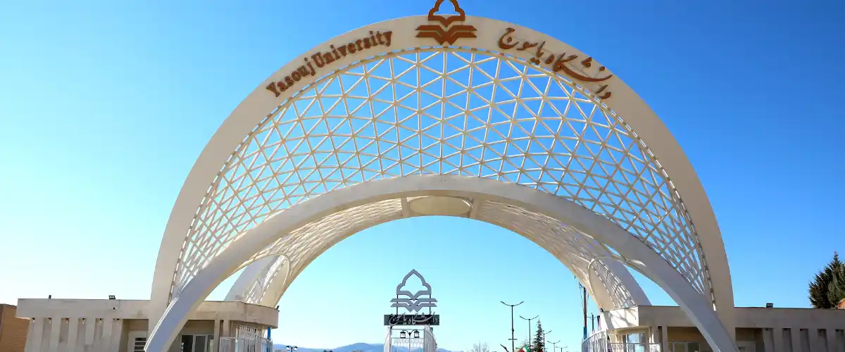 دانشگاه یاسوج