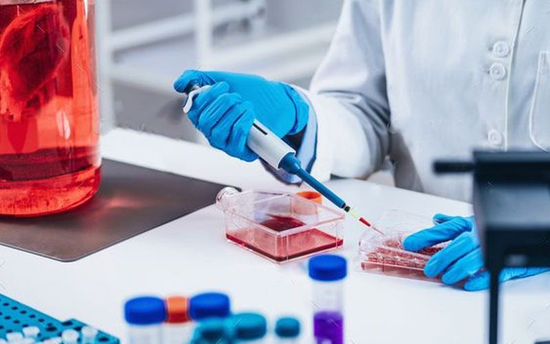 آشنایی با کاربرد هیدروژلهای مهندسیشده در کشت سهبعدی سلول و چاپ زیستی