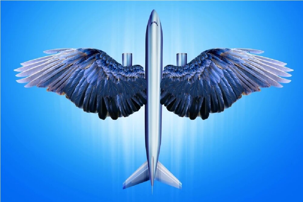 برجستهترین تقلیدهای دنیای علم و فناوری از طبیعت در سال ۲۰۲۵