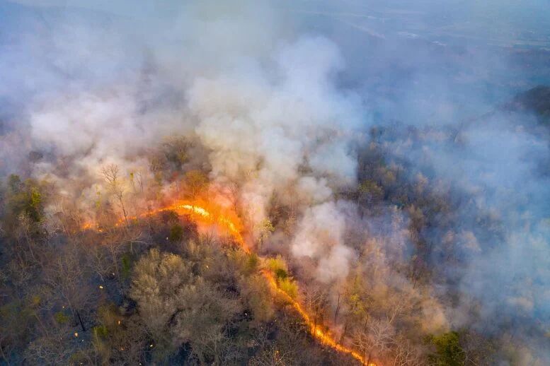 دود آتشسوزیهای طبیعی، خطرناک و تهدیدکننده کیفیت هوا