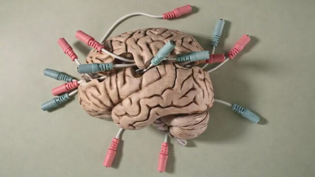 شنیدن صدای دوپامین در مغز زنده؛ رصد لحظهای ترشح ناقل عصبی