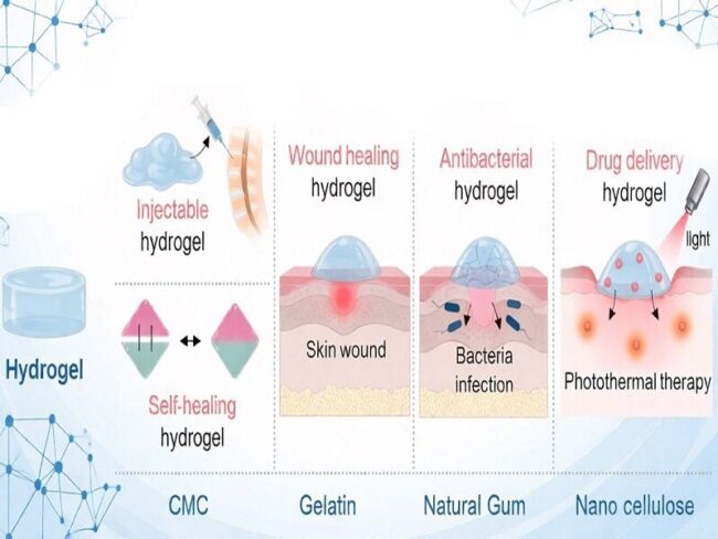 زیستپلیمرها چگونه درمان زخم را متحول میکنند؟