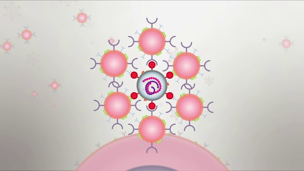 ساخت اسفنجی که خونریزی را بند میآورد