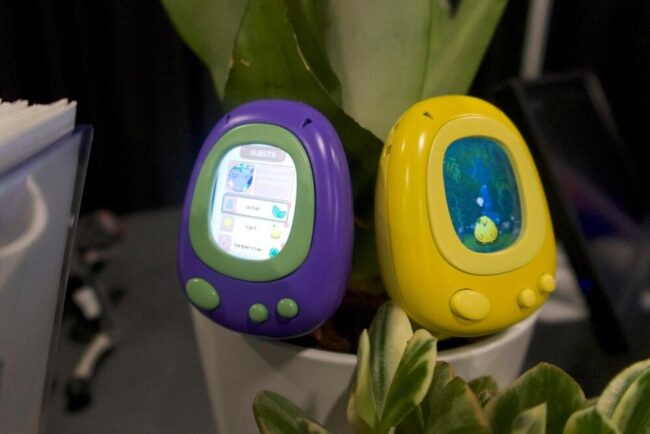 معرفی دستگاهی برای زنده نگه داشتن گیاهان خانگی