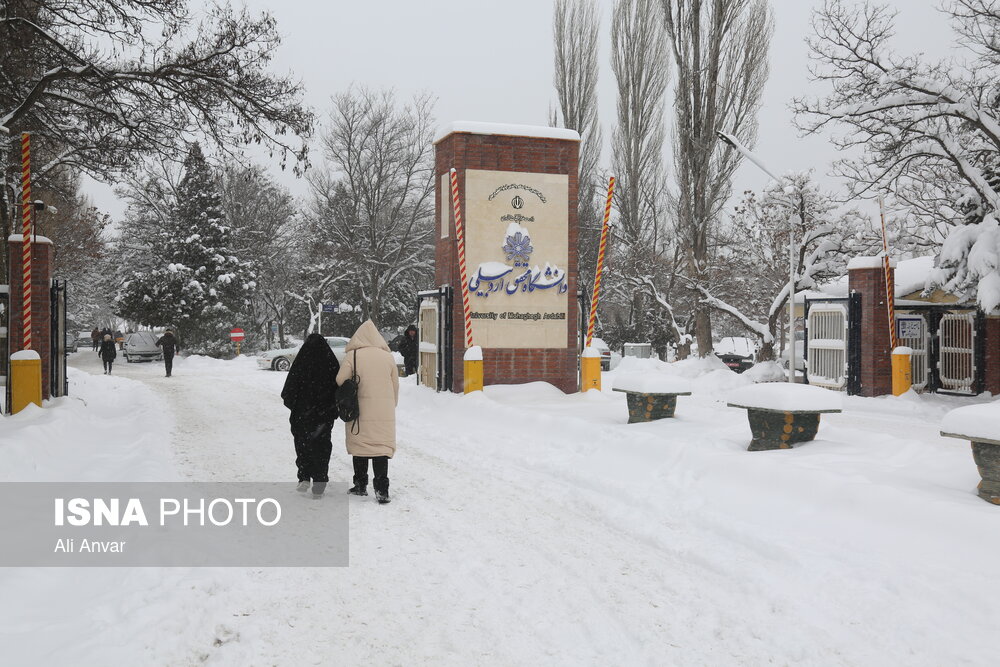 امتحانات پایان ترم کاردانی و کارشناسی دانشگاه محقق اردبیلی مجازی شد
