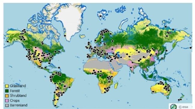 بازنگری علفزارهای جهان و نقش آنها در ذخیرهسازی کربن توسط پژوهشگر ایرانی