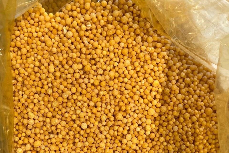 محصولات دانشبنیان ایرانی در راه بازارهای دامپروری منطقه