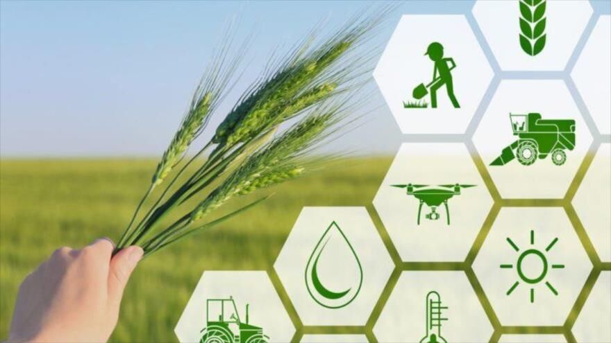 اجرای پایلوتهای کشاورزی دانشبنیان در اقلیمهای بحرانی کشور