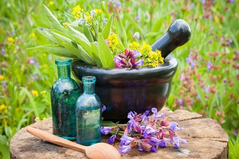 ارتقای دانش تجاریسازی و استانداردهای تولید در حوزه گیاهان دارویی