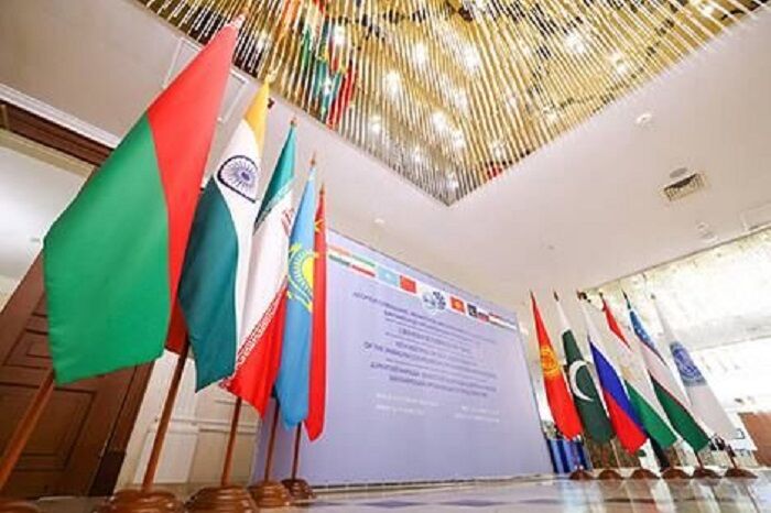 آخرین وضعیت دانشگاه سازمان همکاری شانگهای بررسی شد