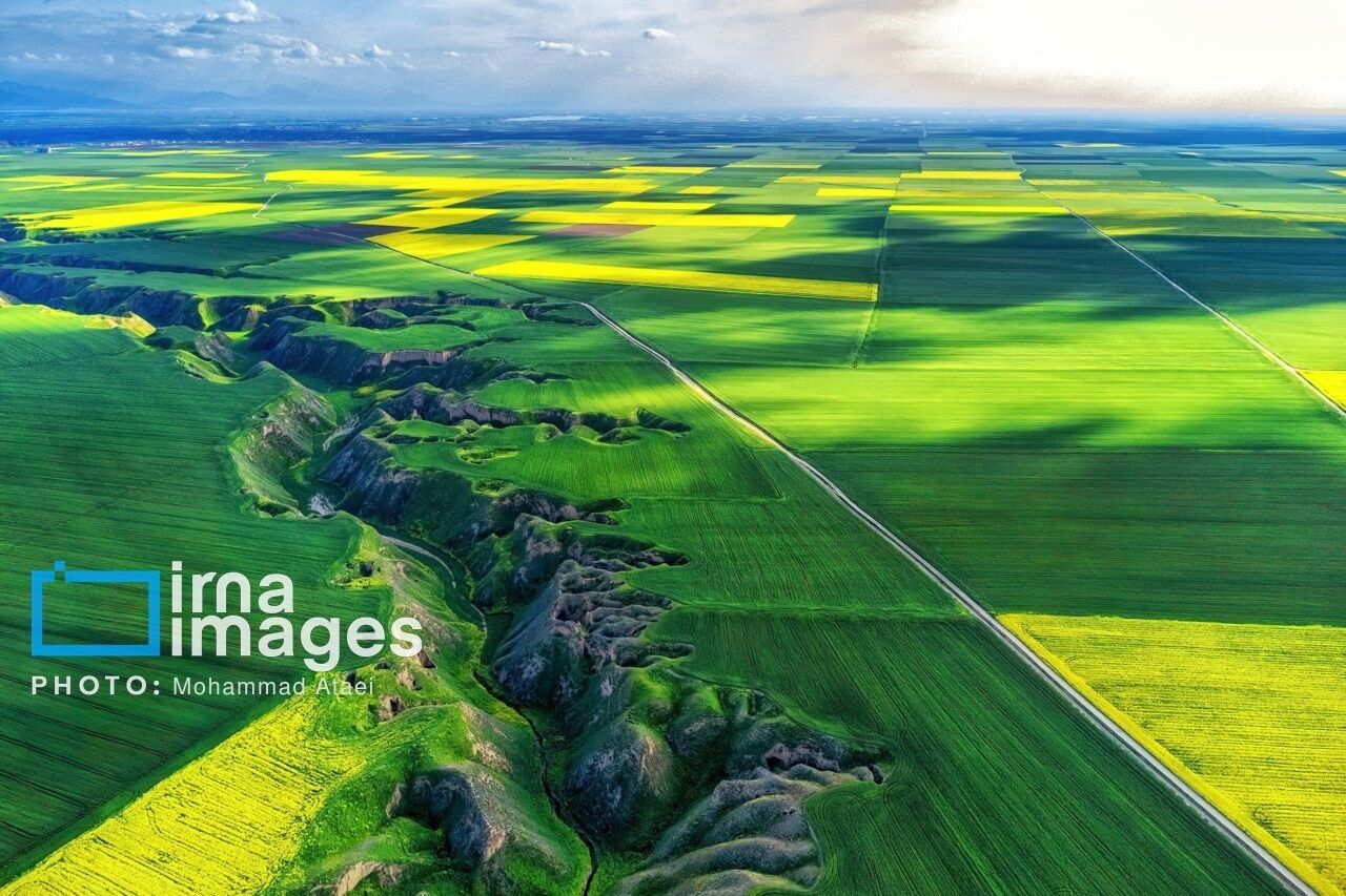 فراخوان جایزه جهانی کشاورزی ۲۰۲۶؛ فرصتی برای معرفی دستاوردهای ایران