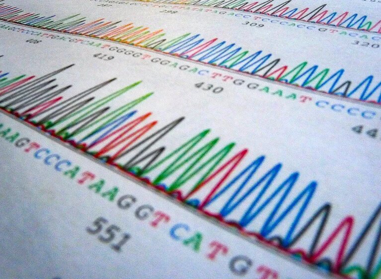 شناسایی نخستین سرنخهای ژنتیکی اختلال شخصیت مرزی