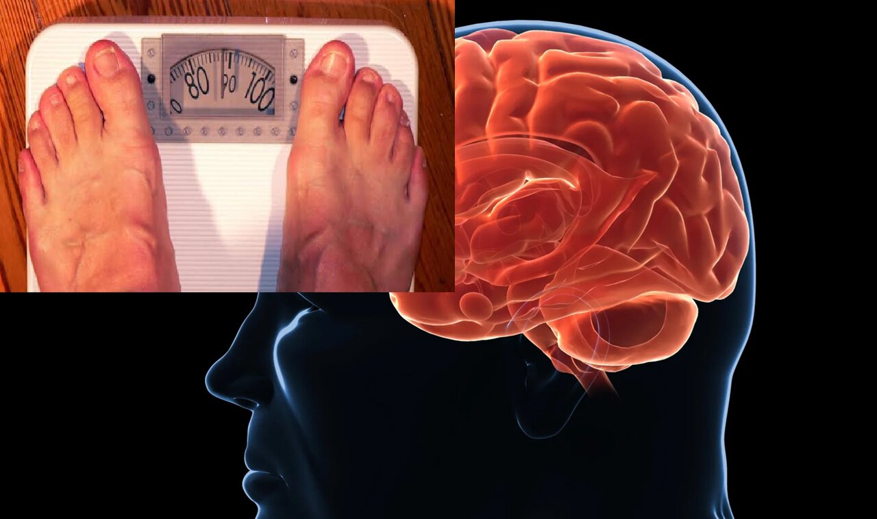 چاقی به دلیل بیارادگی نیست؛ مغز میخواهد چاق بمانیم!