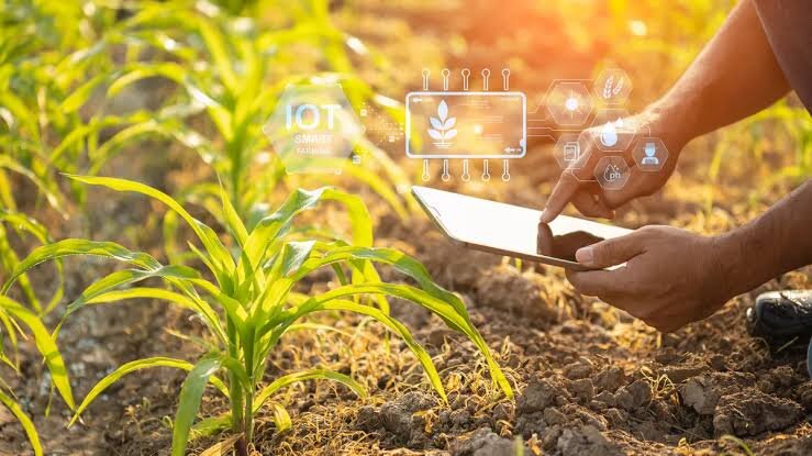 هوش مصنوعی چگونه میتواند کمبود نیروی کار کشاورزی را جبران کند؟